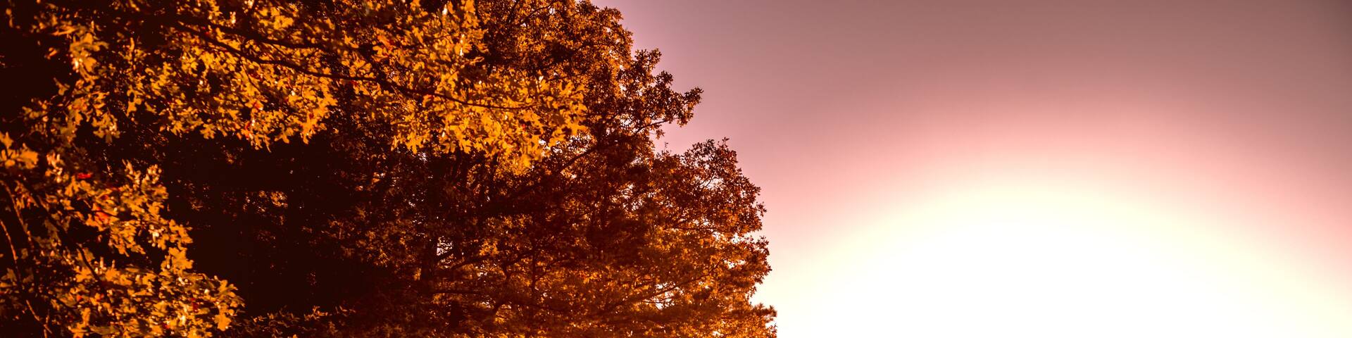 October sunrise during the fall at Whitaker Point, also known as Hawksbill Crag, near Ponca, AR.