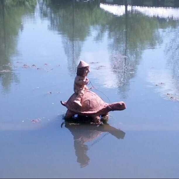 A troll riding tortoise back in a pond...