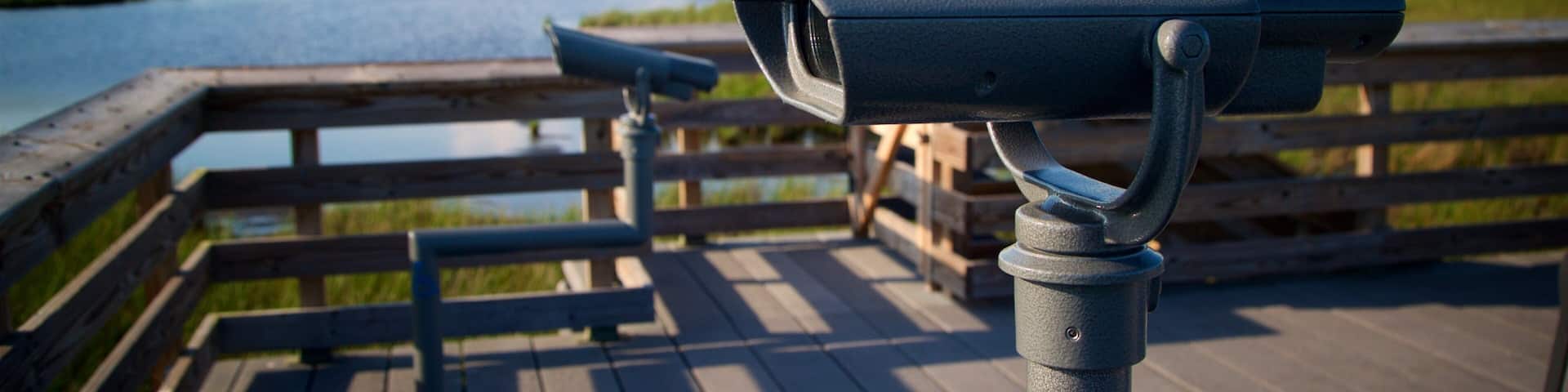 Blackwater National Wildlife Refuge