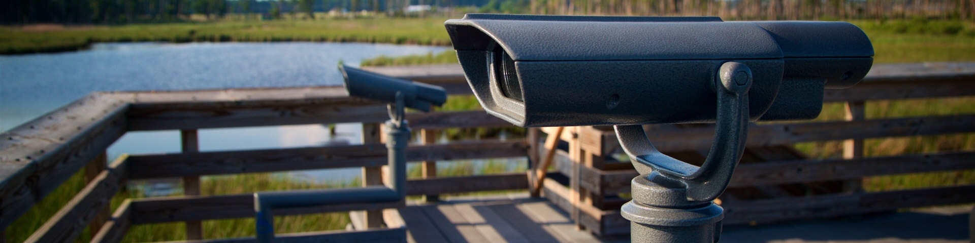 Blackwater National Wildlife Refuge