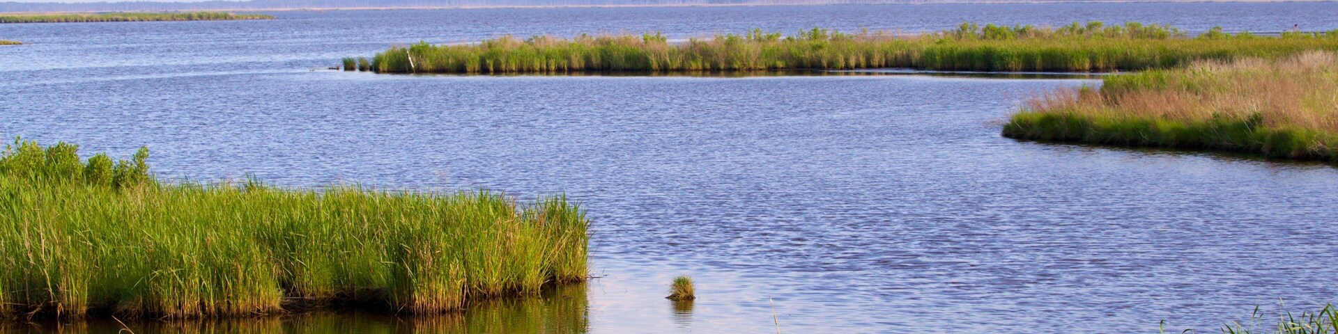 Blackwater National Wildlife Refuge