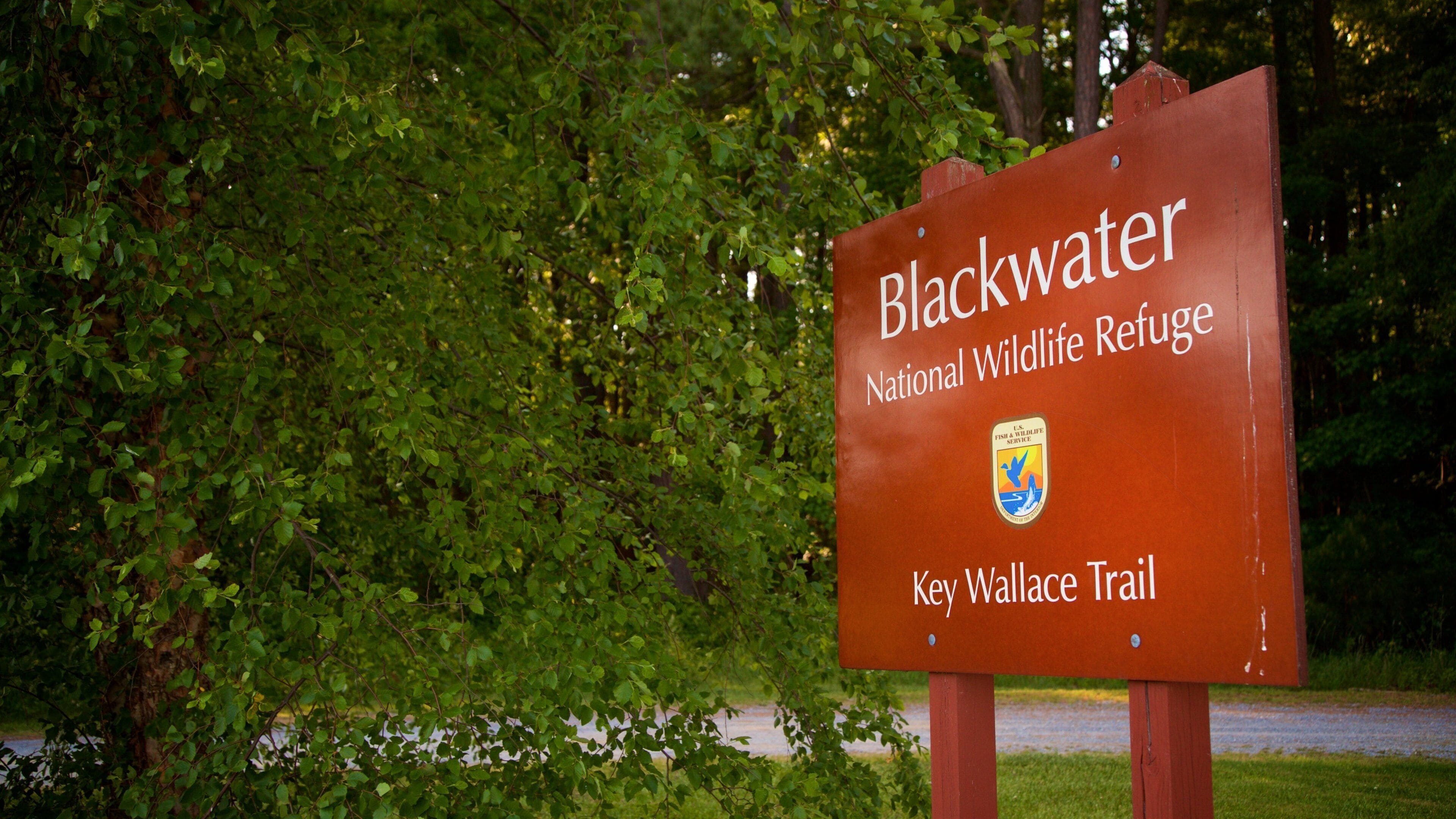 Blackwater nasjonale naturreservat