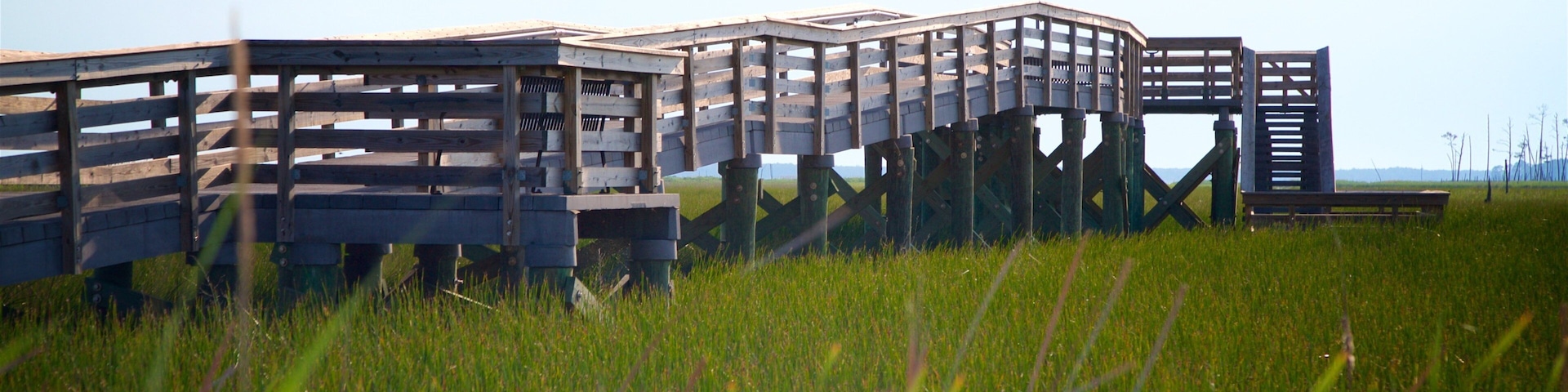 Blackwater National Wildlife Refuge