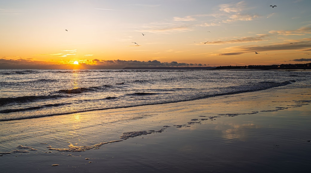 سانت ليونارد