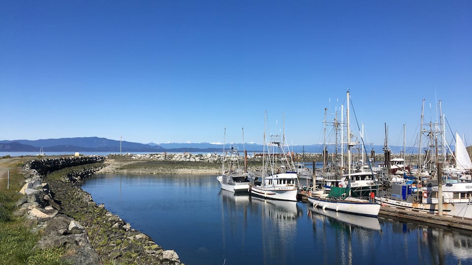 A harbor with boats docked, calm water, and a clear sky.
