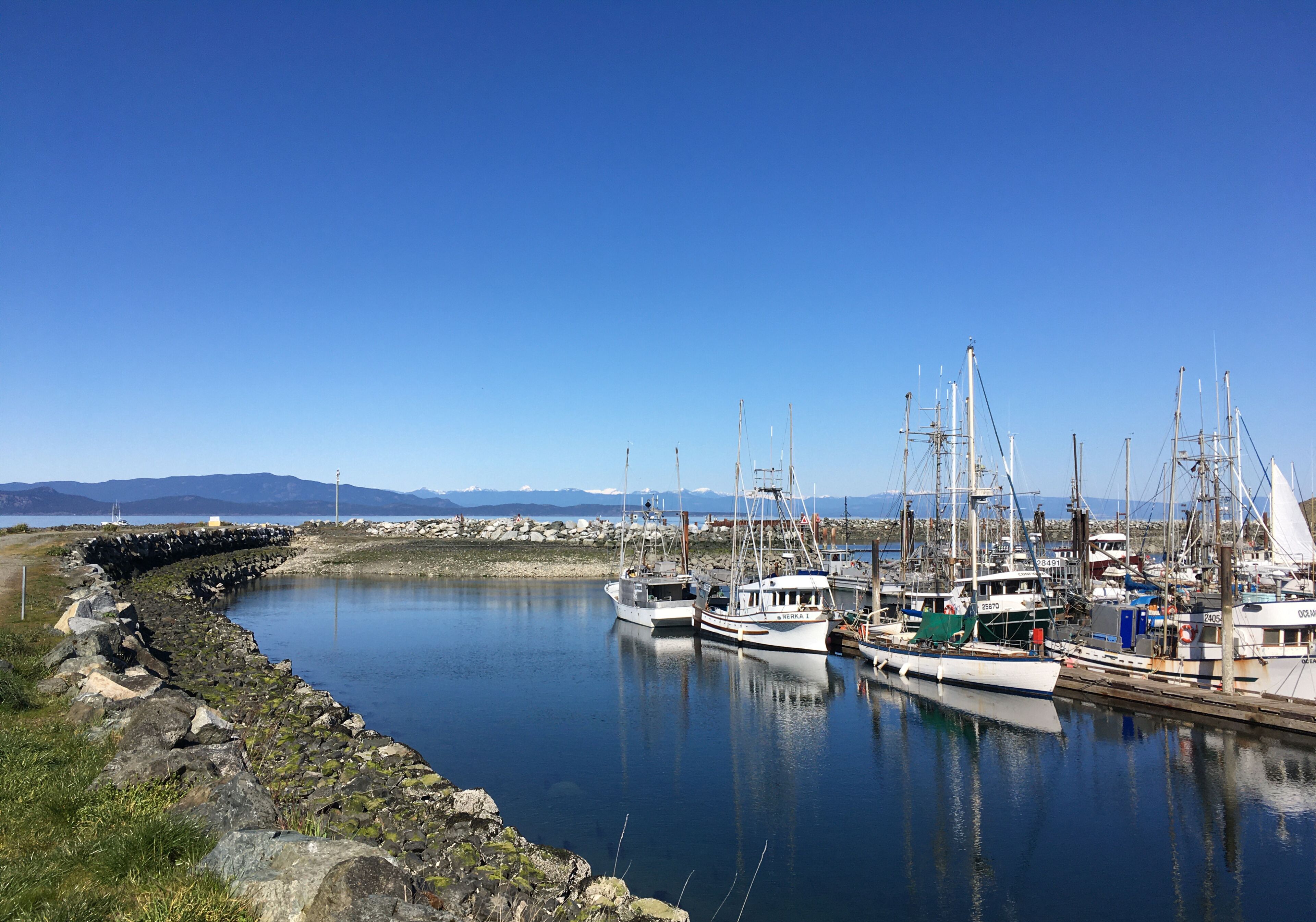 A harbor with boats docked, calm water, and a clear sky.