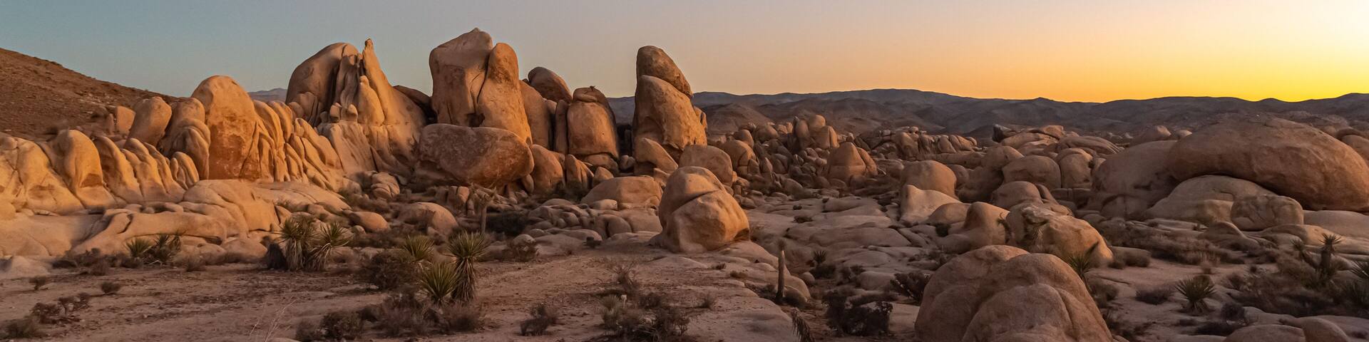 Joshua Tree National Park desert landscape in panoramic shot view.