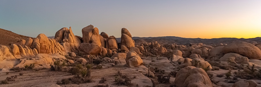 Joshua Tree National Park desert landscape in panoramic shot view.