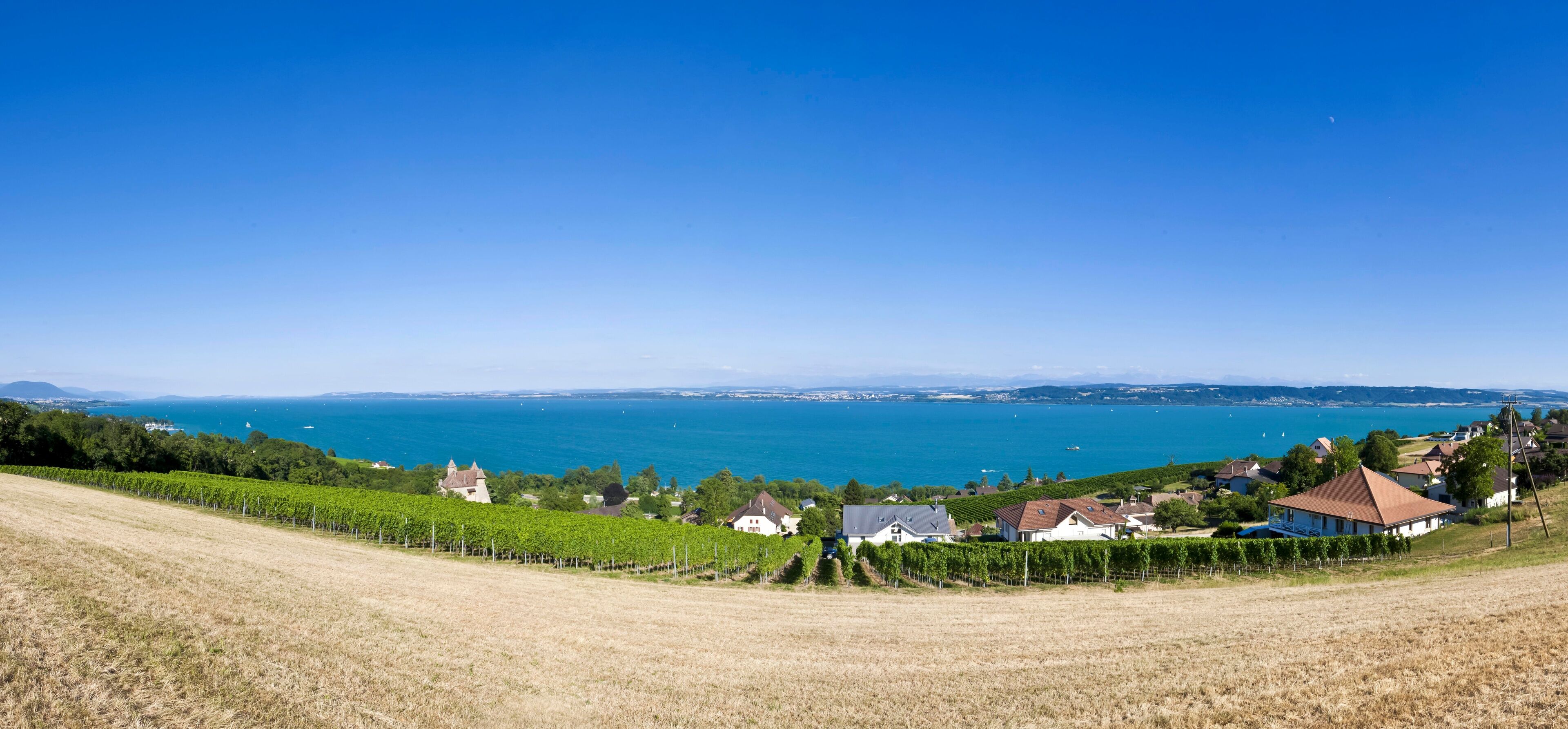 Chateau de Vaumarcus castle, Vaumarcus, Lake Neuchatel, Canton Neuchatel, Switzerland, Europe