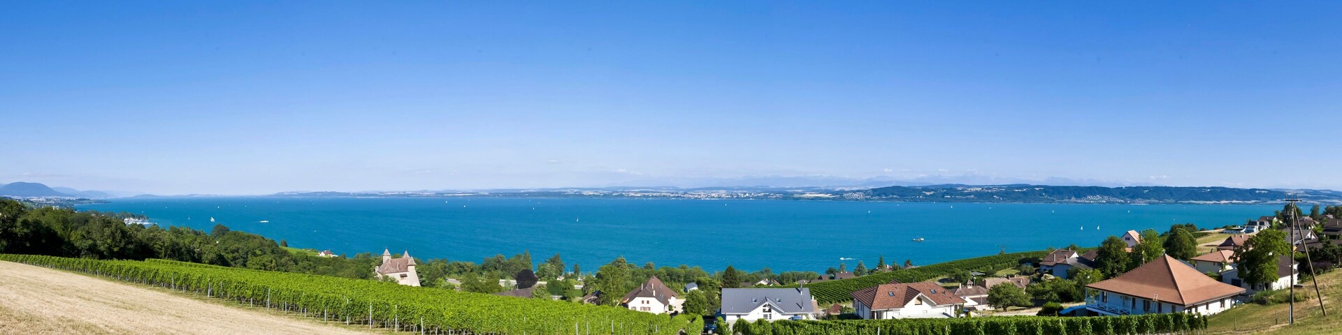 Paisagem costeira com vinhedos, casas e vista para o mar.