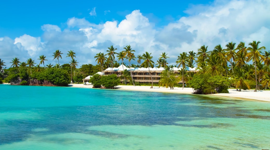 Punta Cana in Dominican Republic : beaches and jungle