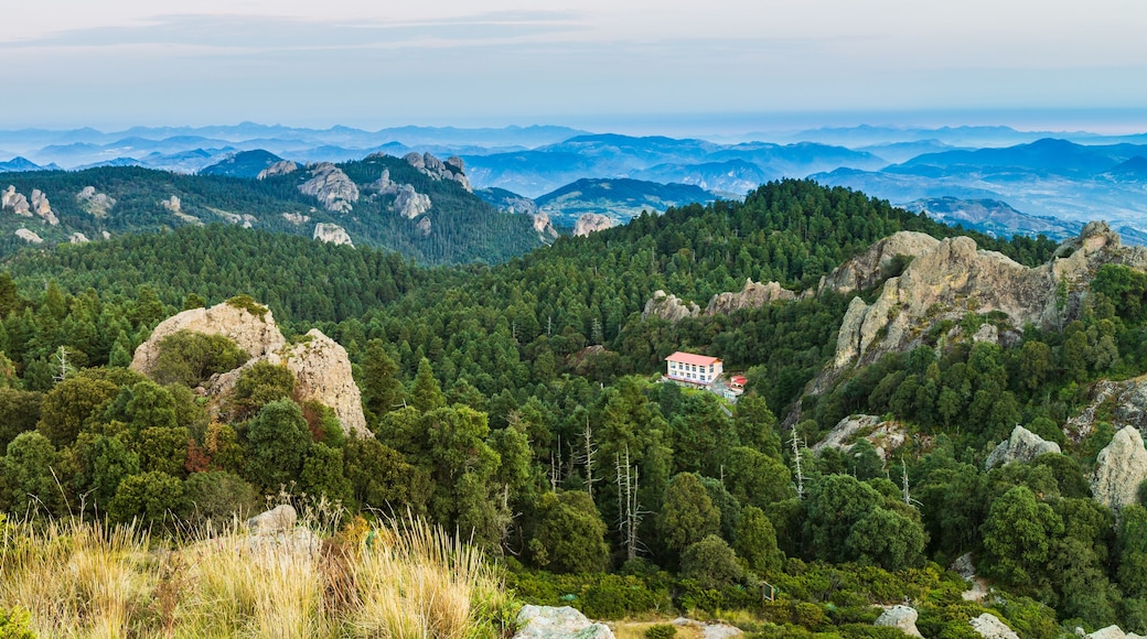 San Salvador el Verde