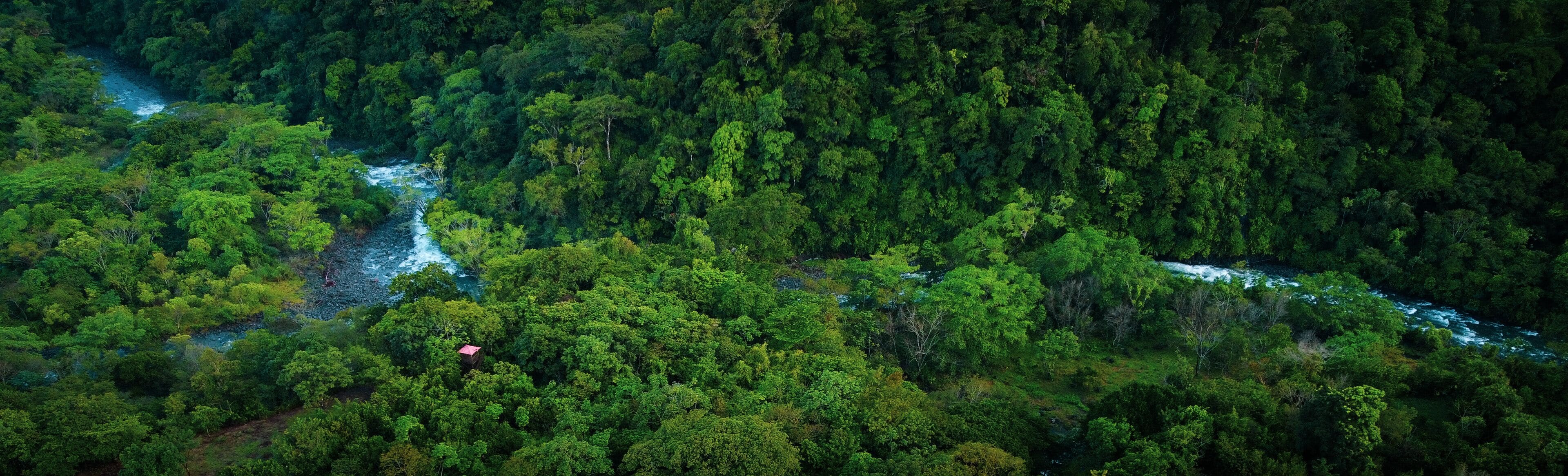 San Salvador el Verde