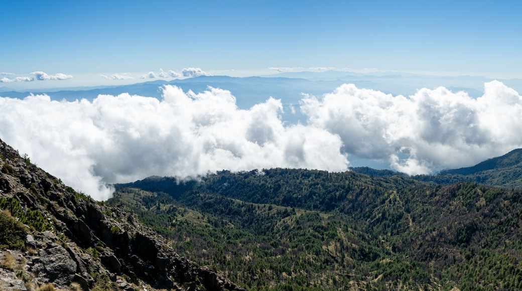 San Salvador el Verde