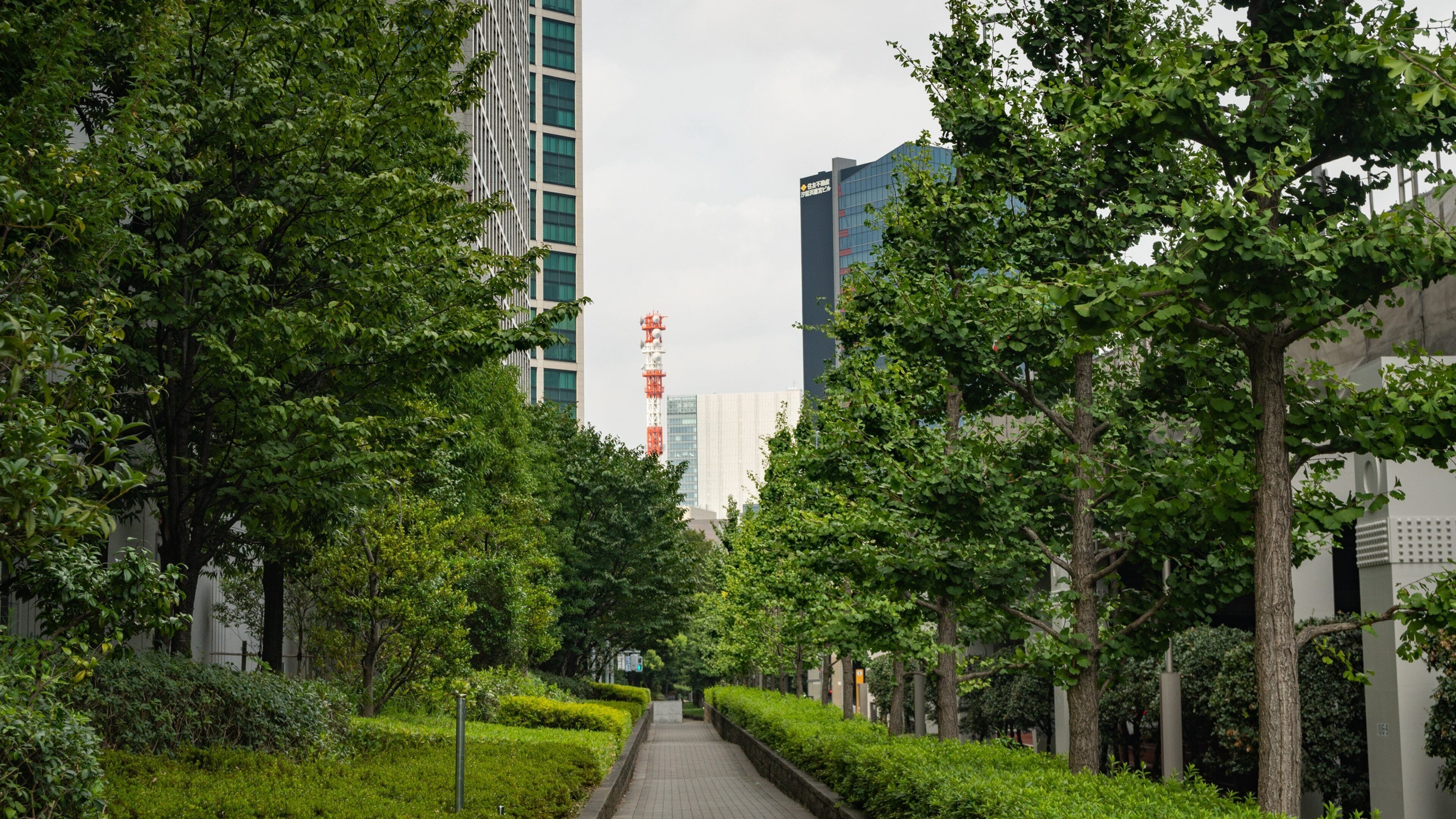 Hamamatsucho showing a park