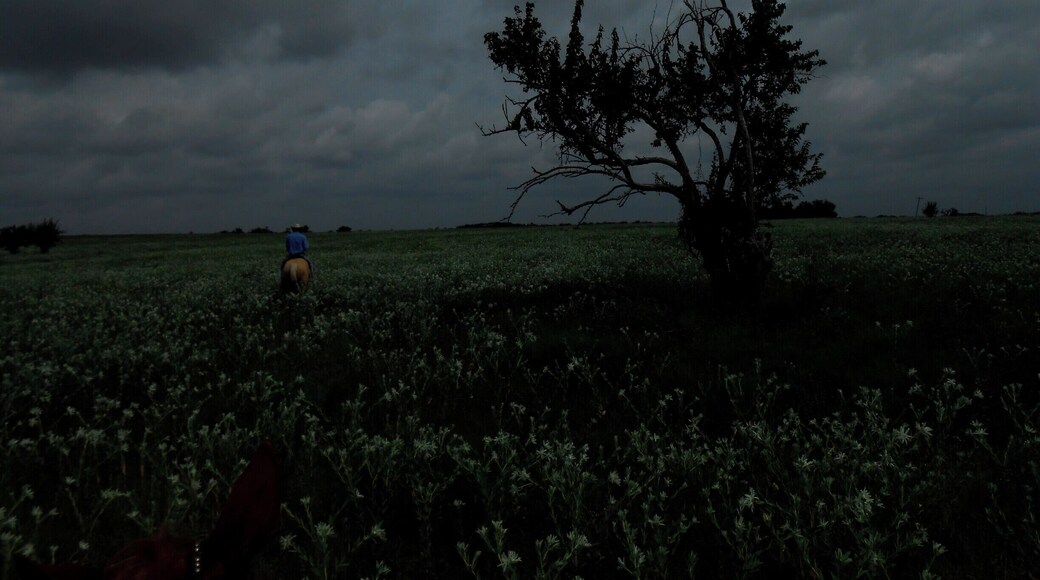 Enjoying a slice of cowboy life by horse riding with a real life cowboy in a working ranch.