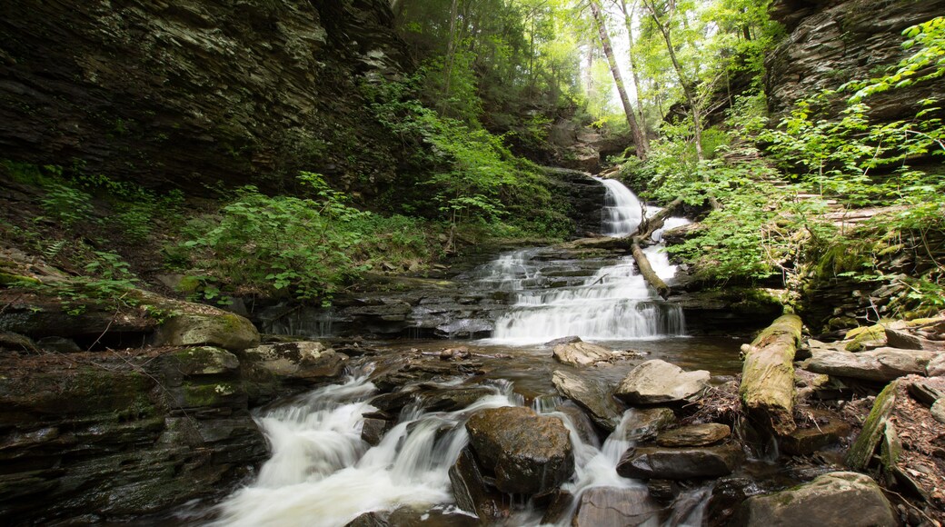 Waterfall in Pocono Mountains in Pennsylvania at Ricketts Glen