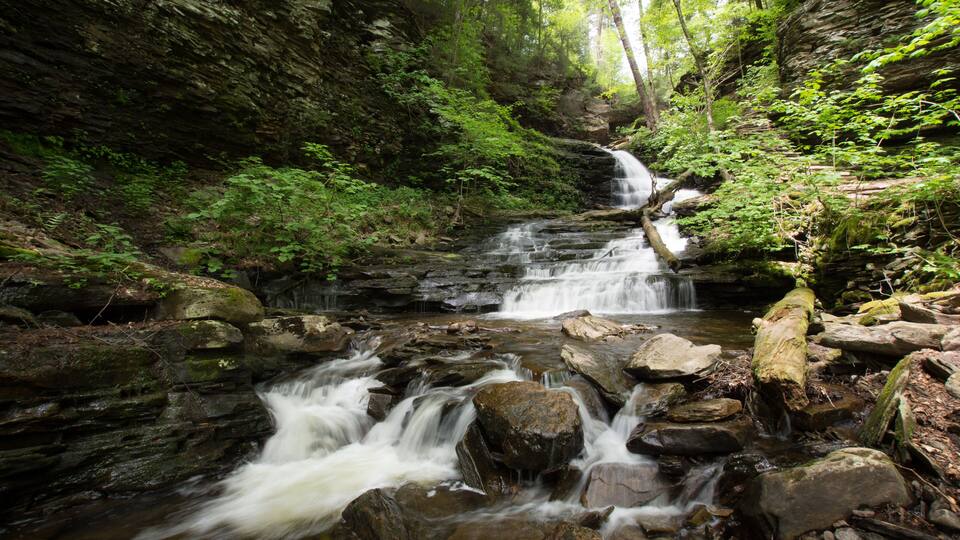 A waterfall in a forested area with rocks and greenery.