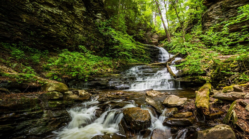 Waterfall in Pocono Mountains in Pennsylvania at Ricketts Glen