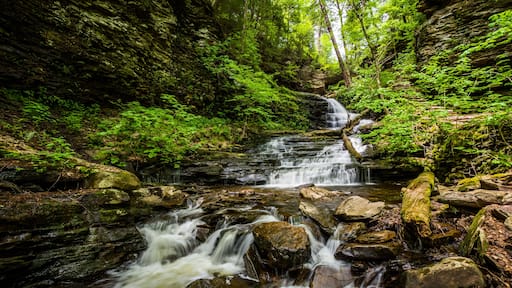 Waterfall in Pocono Mountains in Pennsylvania at Ricketts Glen