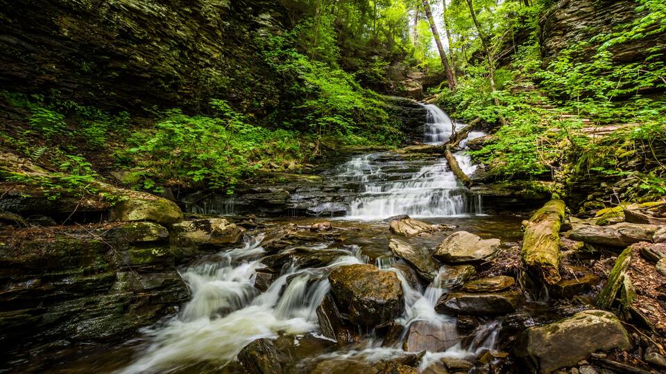 A waterfall cascading over rocks in a lush forest.