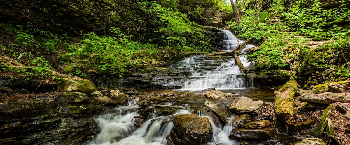 A waterfall cascading over rocks in a lush forest.