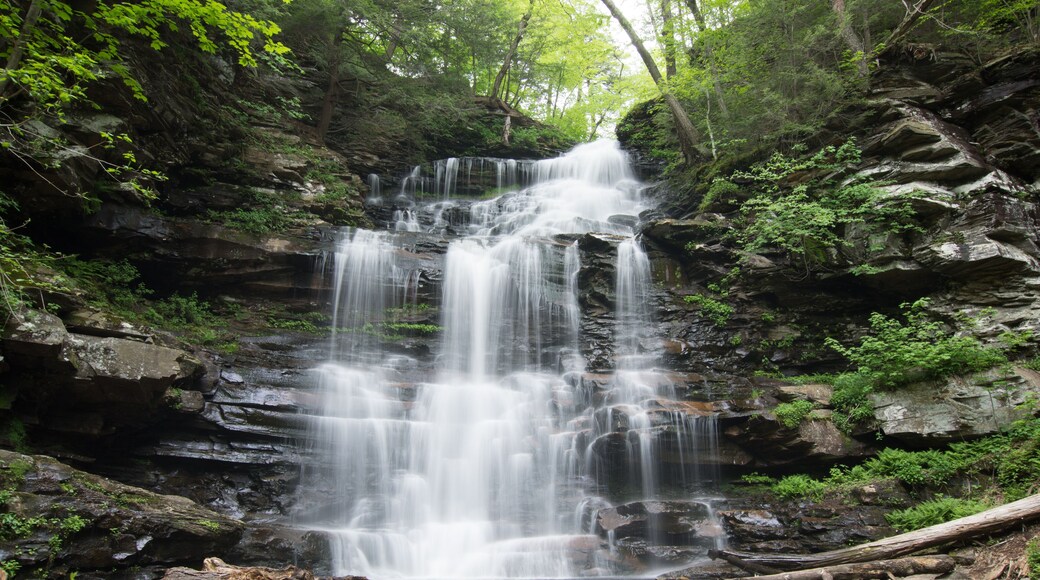 Scenic Waterfall in Ricketts Glen State Park in The Poconos in Pennsylvania