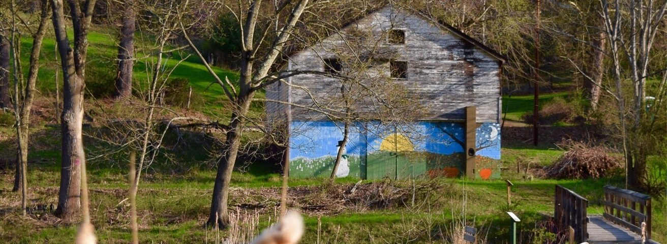 This tiny little barn sits on a tiny little pond in an obscure corner of North Park. It's part of the Lahtidami Trail for the Blind Nature Preserve. #blue #colorful #green #SpringFun #Reflections