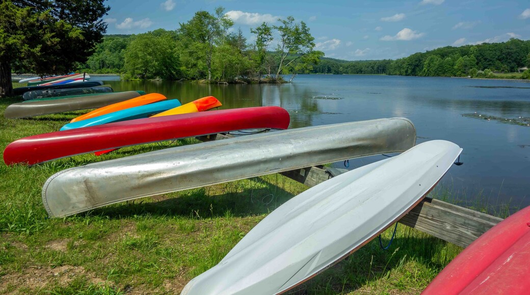 Rows of canoes and kayaks on the grassy shores of Pennsylvania lake state park woodland background green foliage calm water blue sky vacation weekend outdoors