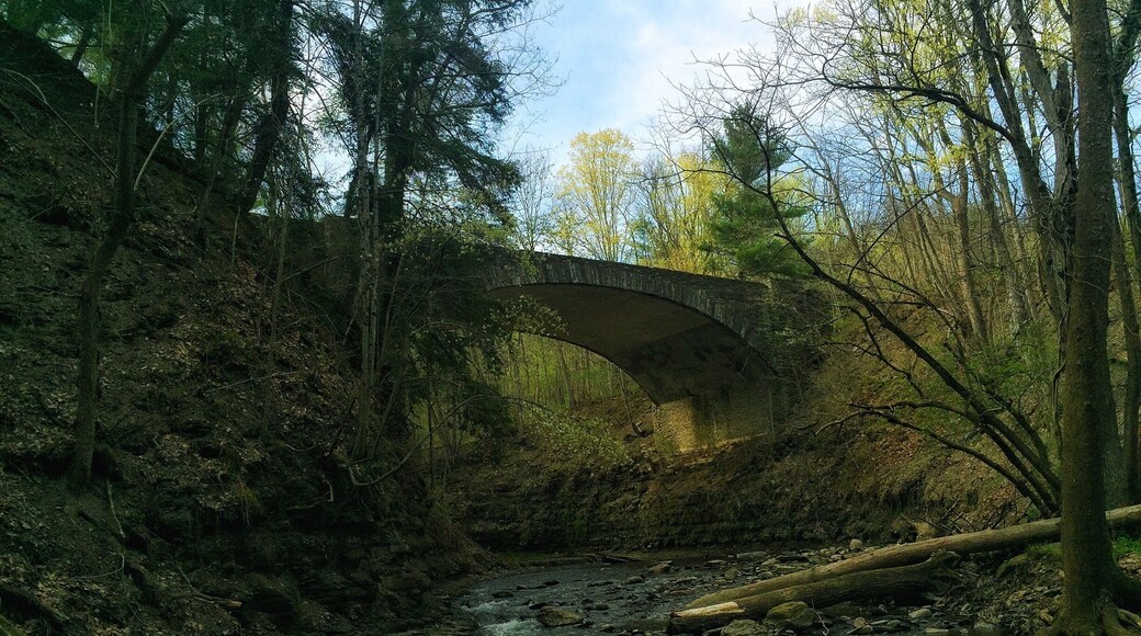 Wow! If you haven't been to this park you need to go. South of Rochester.. in Castile, NY so much to see. #springfun