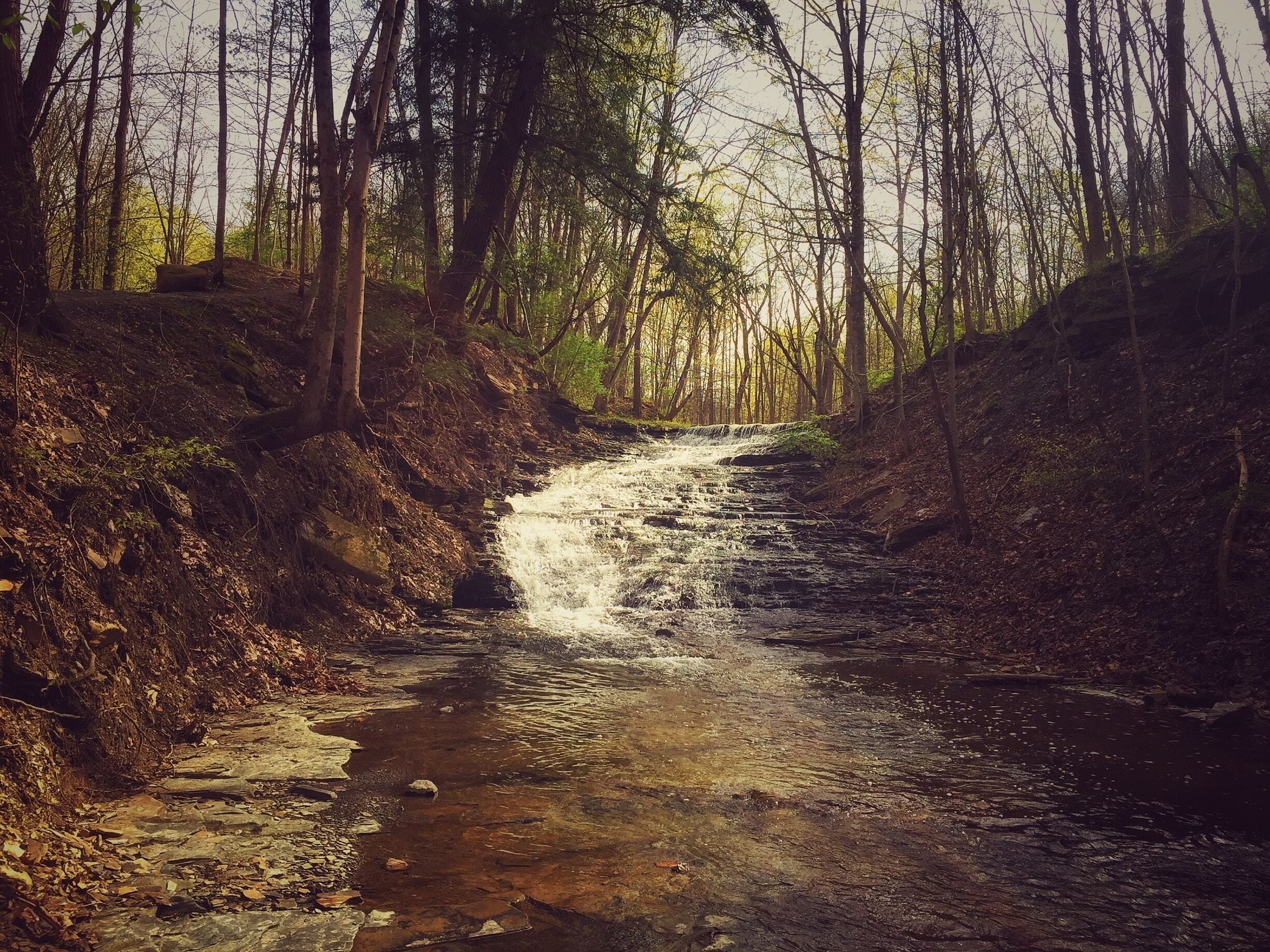 Wow! If you haven't been to this park you need to go. South of Rochester.. in Castile, NY so much to see. 