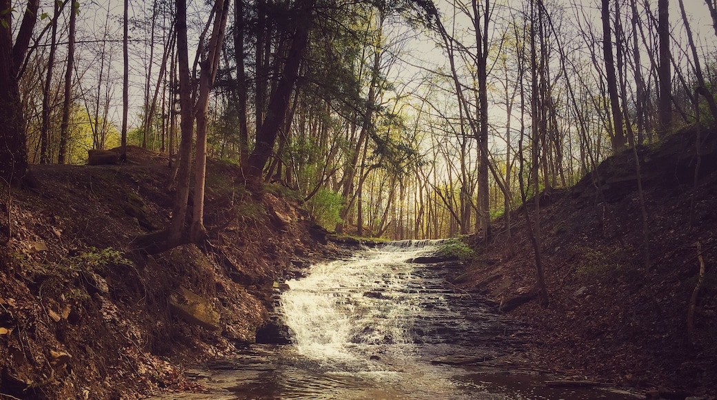Wow! If you haven't been to this park you need to go. South of Rochester.. in Castile, NY so much to see.