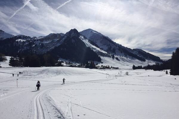 Looking for a good place to nordic ski?
Why not try Les Mosses, with it's 4 different nordic ski tracks.
Located not far from Lausanne, Les Mosses also offers downhill ski opportunities, and multiple hikes in summer time.
#Ski #Switzerland #Valais #Lifeatexpedia #Mountain #Hiking