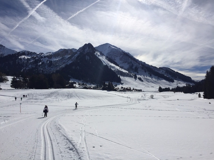 Looking for a good place to nordic ski?
Why not try Les Mosses, with it's 4 different nordic ski tracks.
Located not far from Lausanne, Les Mosses also offers downhill ski opportunities, and multiple hikes in summer time.
#Ski #Switzerland #Valais #Lifeatexpedia #Mountain #Hiking