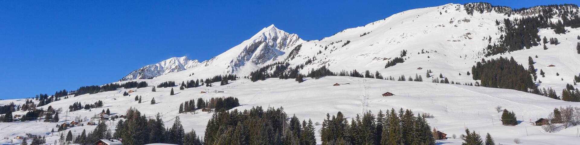 Wintersportort Les Mosses auf dem Passübergang des Col des Mosses / Ormont-Dessous, Kanton Waadt, Schweiz