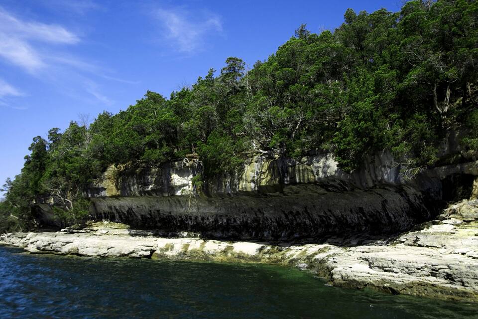 A rocky coastline with dense green foliage and clear blue water.