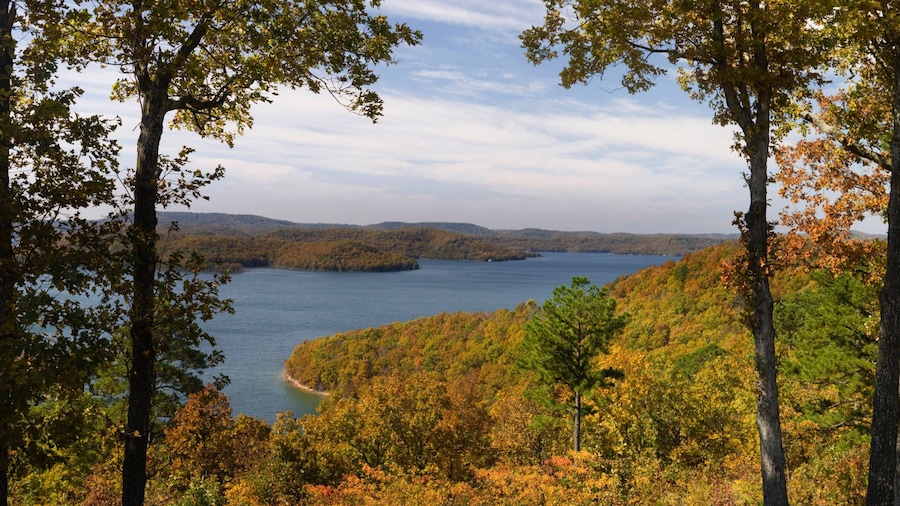 Beaver Lake which includes forest scenes, a lake or waterhole and autumn colours