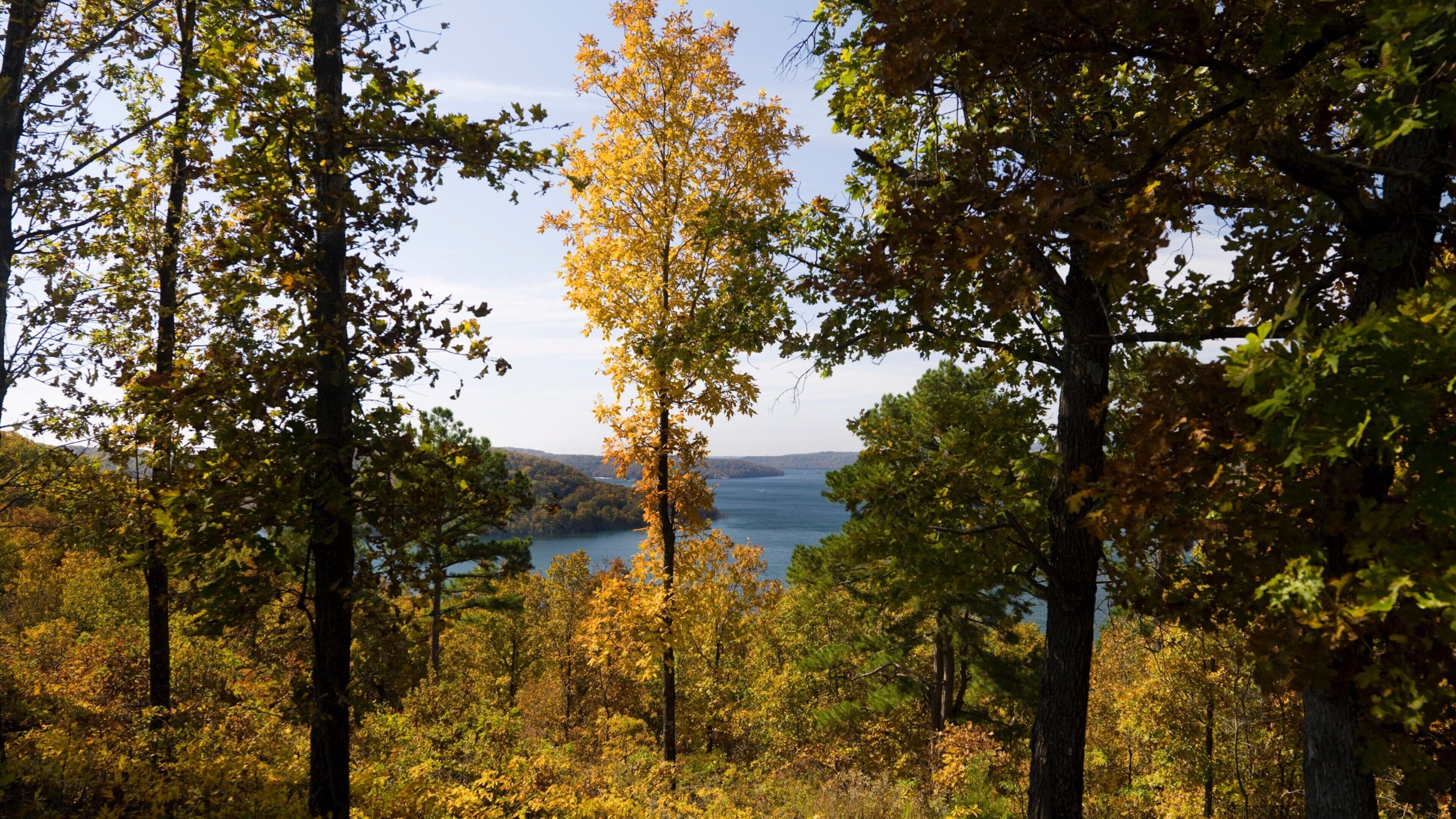 Beaver Lake ofreciendo bosques, vista general a la costa y hojas de otoño