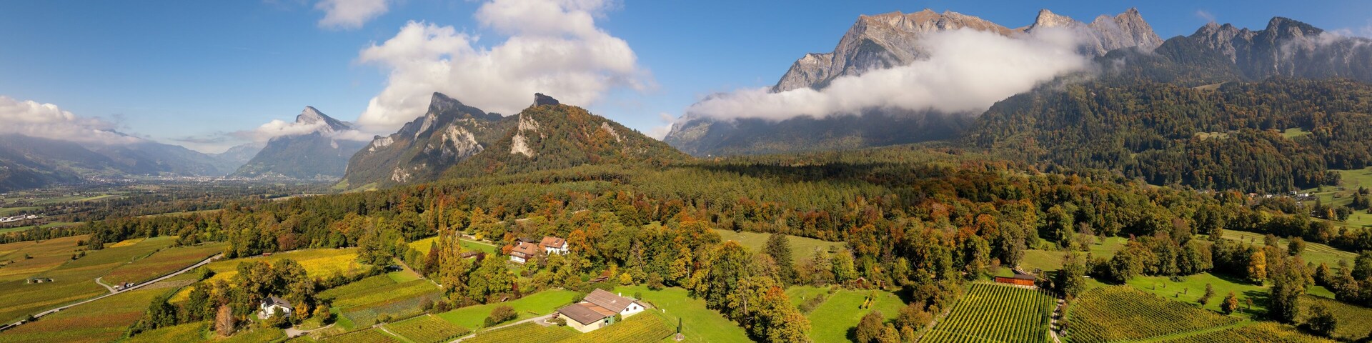 Paisagem de vinhedos com montanhas ao fundo.