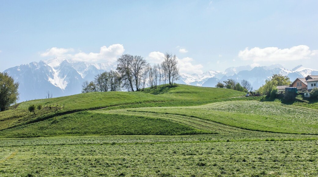 An unreal but typical scenery around Vevey - Montreux