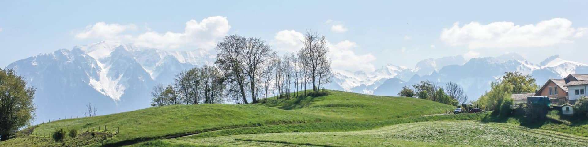 An unreal but typical scenery around Vevey - Montreux