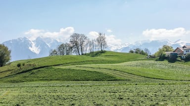 An unreal but typical scenery around Vevey - Montreux