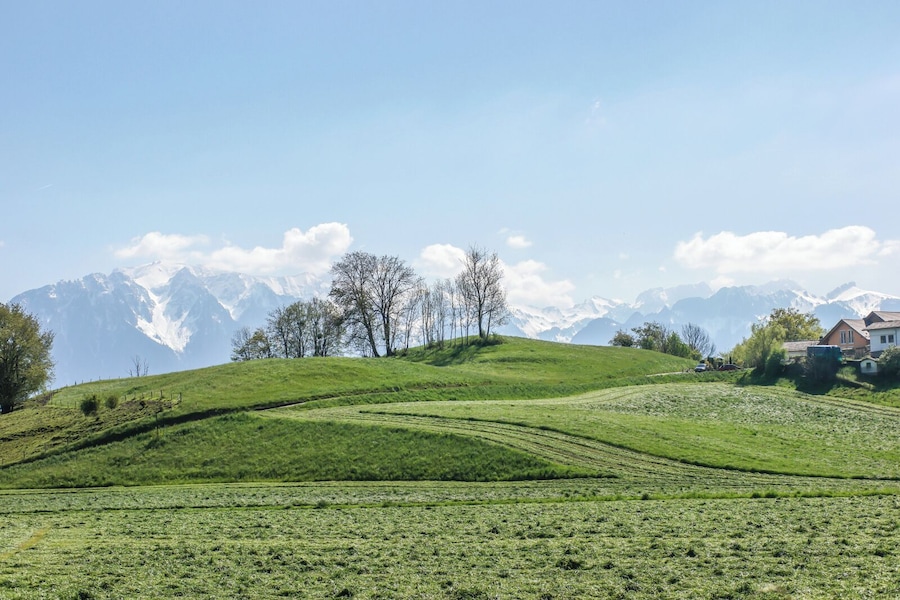 An unreal but typical scenery around Vevey - Montreux