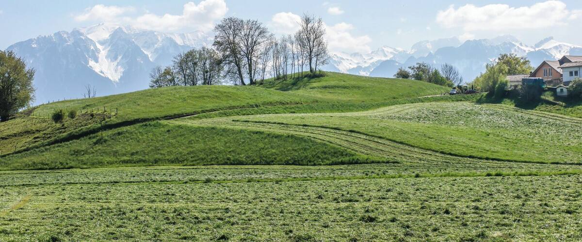 A green field with a house and trees in the foreground, and snow-capped mountains in the background.