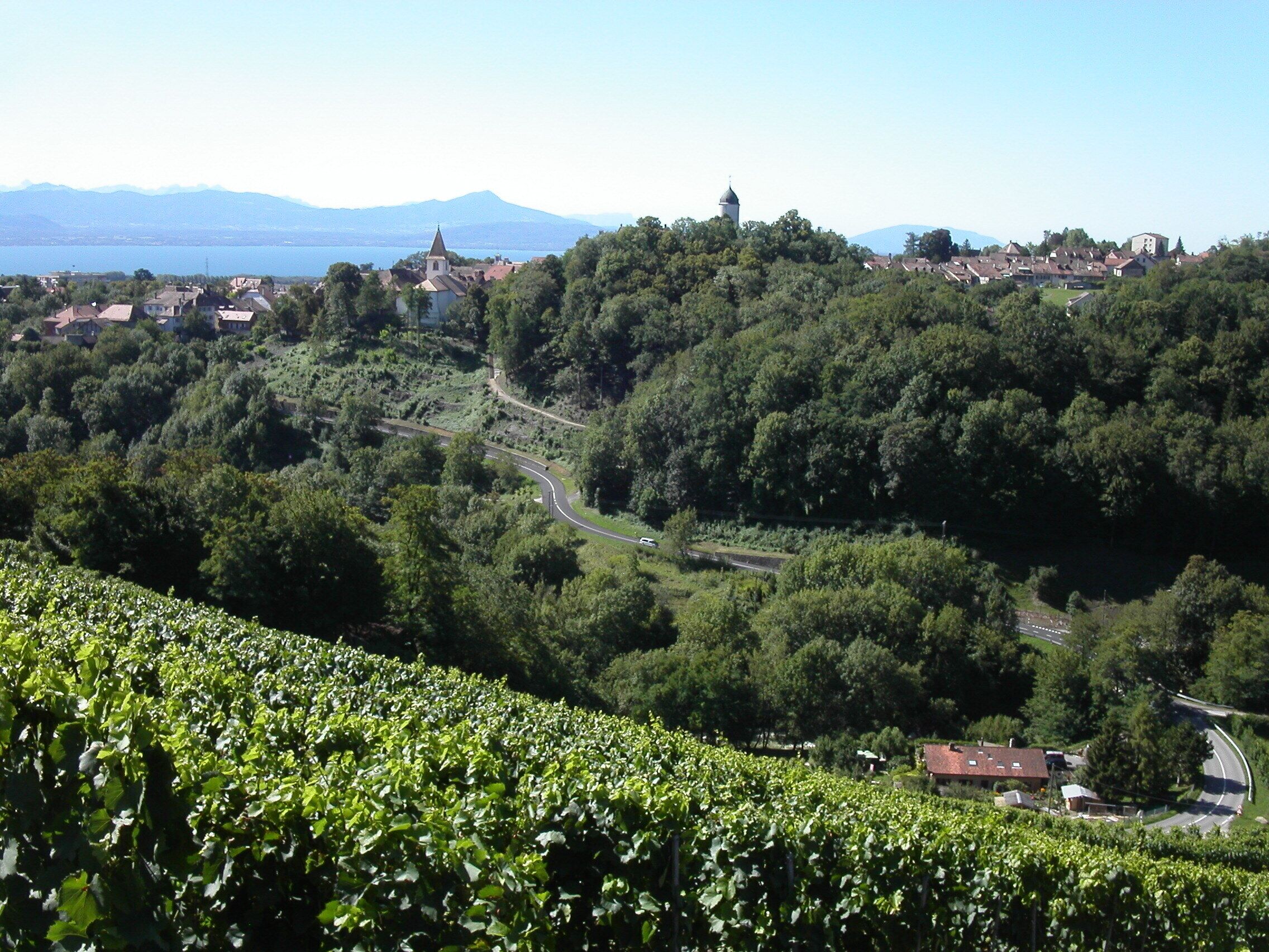 View of Aubonne, Canton of Vaud, Switzerland. In the background: Lake Geneva. In the center, the church of Aubonne. In the forest, the minaret-style tower of the castle of Aubonne.