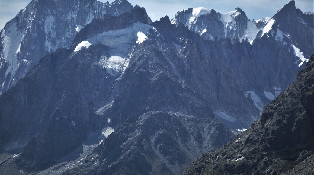 These dark sleeping giants make you feel insignificant. #TroveOnTuesday #Aboveitall #GreatOutdoors #Perspectives #Nature #Trovember