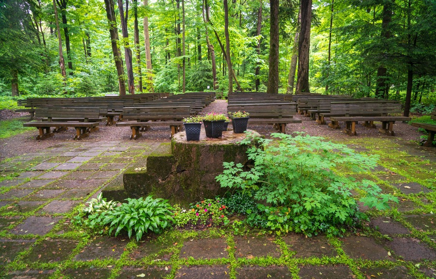 Inspiration Stump at the Outdoor Church at Lily Dale