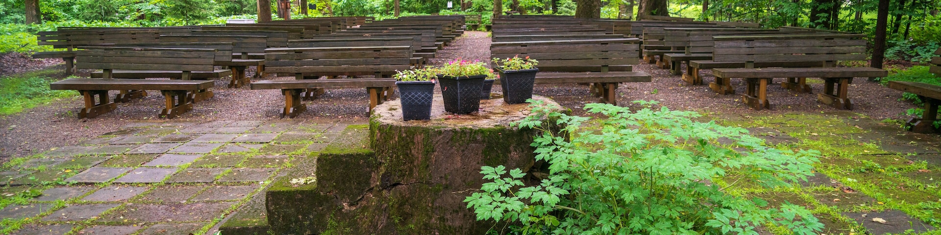 Inspiration Stump at the Outdoor Church at Lily Dale