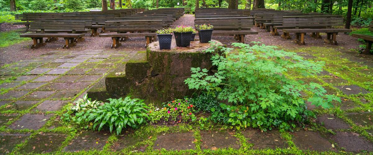 A forest clearing with wooden benches and potted plants.