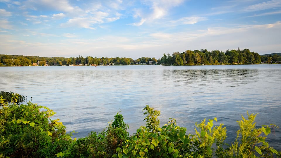 A calm lake surrounded by lush greenery and a forested shoreline.